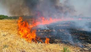 Katni news : गर्मी शुरू होते ही लगने लगी आग, फायर वाहन की मदद से बुझाई
